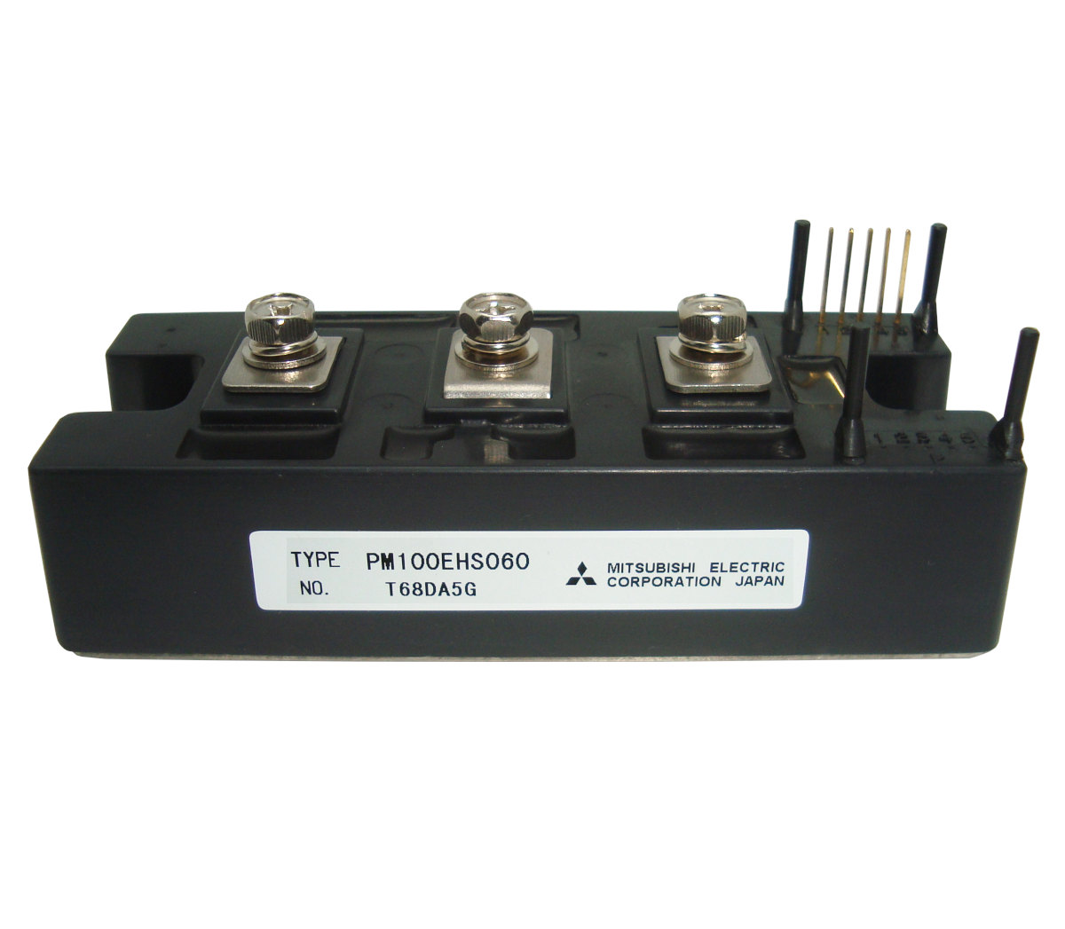 Bild PM100EHS060